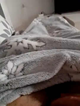 ratoncito 3 online show from November 10, 2025, 12:59 am