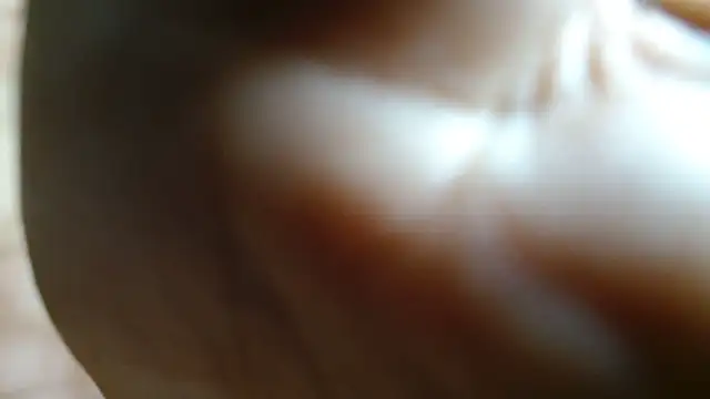Snapshot of JUSTFORRICH chatting on June 27, 2026, 11:00 pm JUSTFORRICH online show from June 27, 2026, 11:00 pm
