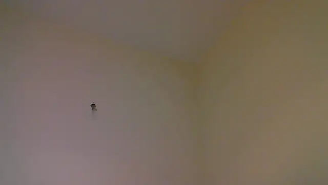 str8matesirishoz online show from October 15, 2025, 4:00 am