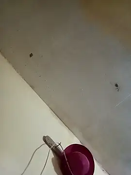 RandalHot online show from November 27, 2025, 9:37 pm