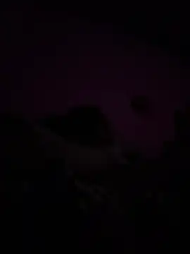 RandalHot online show from April 9, 2026, 9:04 am