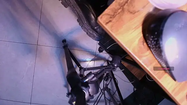 Terraelowen online show from November 10, 2025, 11:37 am