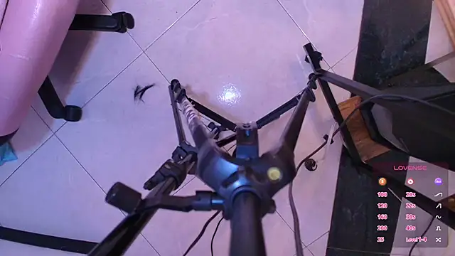 Terraelowen online show from November 1, 2025, 11:48 am