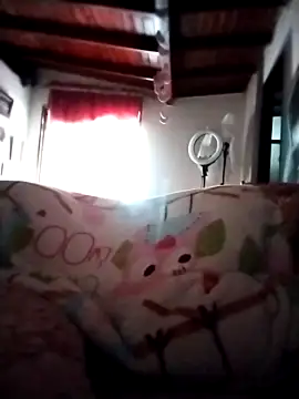 solpeich online show from November 6, 2025, 1:37 pm