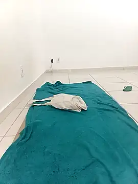 flavinhasensual online show from September 21, 2025, 12:21 pm