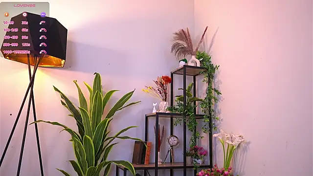 MaydaCornwall online show from June 5, 2026, 4:06 am