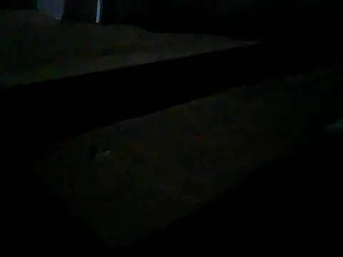 Master2000K online show from February 28, 2026, 11:15 pm