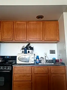 Longthickdick33 online show from April 8, 2026, 1:23 pm