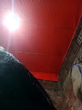 BOBITA 1 online show from December 20, 2025, 6:33 pm