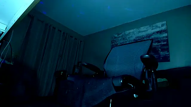 Snapshot of LeeCox chatting on February 9, 2025, 1:25 pm LeeCox online show from February 9, 2025, 1:25 pm