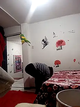 Lady 16 online show from December 2, 2025, 2:01 am