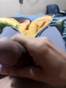 comobucetinhas online show from September 27, 2025, 2:18 am