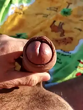 pegaso369 online show from November 3, 2025, 2:53 pm