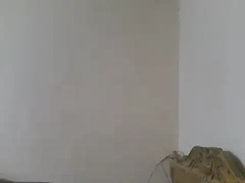 elpoop7305 online show from March 15, 2026, 8:49 pm