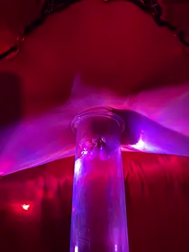 Snapshot of LimePussyFetish chatting on March 14, 2026, 8:48 pm LimePussyFetish online show from March 14, 2026, 8:48 pm