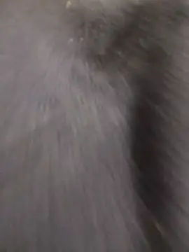 Snapshot of Funny_Karina chatting on December 15, 2025, 6:36 pm Funny Karina online show from December 15, 2025, 6:36 pm