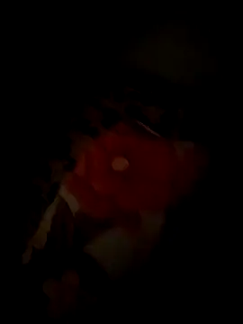 Snapshot of tyteo1010 chatting on December 22, 2025, 3:01 pm tyteo1010 online show from December 22, 2025, 3:01 pm