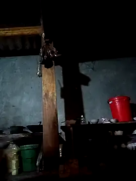 CoMay003 online show from February 15, 2026, 12:00 am