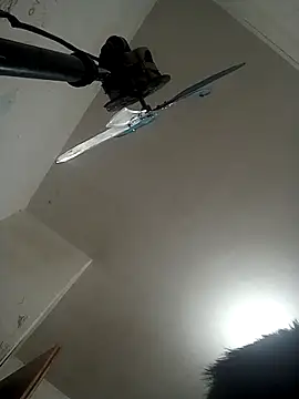 Ariihot online show from November 12, 2025, 9:02 am