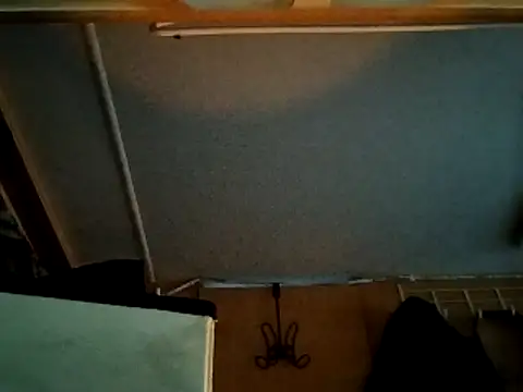 high3ndlowlife online show from December 16, 2025, 5:50 pm