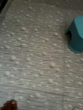 NoddingScorpion online show from October 16, 2025, 3:26 am