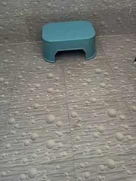 NoddingScorpion online show from October 12, 2025, 4:03 am