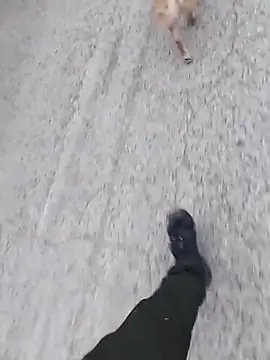 Axelitoc online show from March 5, 2026, 6:10 am