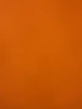 XanderOzzz online show from December 2, 2025, 8:32 pm