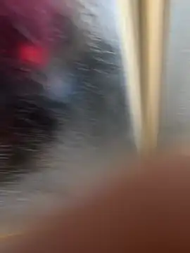 LicitInvader online show from February 12, 2026, 8:03 am