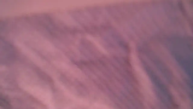 Liz Hu online show from October 10, 2025, 4:30 pm