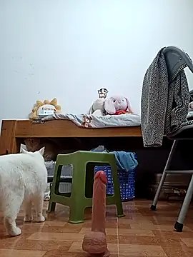 July-Asian online show from December 1, 2025, 12:44 am