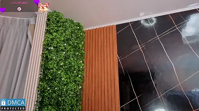 leidy morales  online show from February 24, 2026, 11:00 am