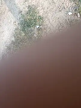 Desiandaj online show from November 26, 2025, 2:44 am