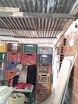 hoteder online show from February 10, 2026, 12:37 pm