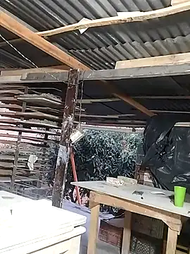 hoteder online show from March 17, 2026, 11:13 am