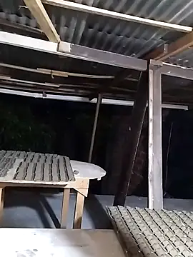 hoteder online show from November 24, 2025, 11:16 pm