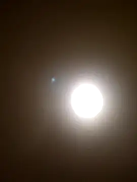 svenni2525 online show from December 1, 2025, 2:34 am