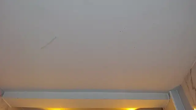 Snapshot of dania_b_ chatting on October 19, 2025, 3:09 am dania b online show from October 19, 2025, 3:09 am
