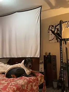 Snapshot of KeYBuMp323 chatting on February 13, 2026, 4:56 am KeYBuMp323 online show from February 13, 2026, 4:56 am