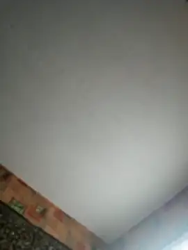 Romashka33011 online show from October 29, 2025, 11:20 am