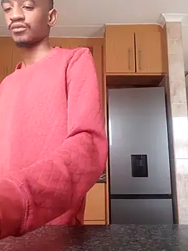 gemini loops online show from February 17, 2026, 8:11 am