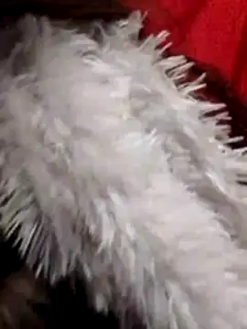 Babe Doll04 online show from January 7, 2026, 7:57 am