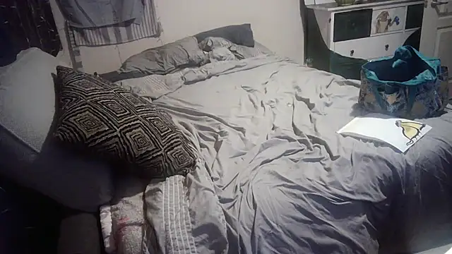 PremiumKitty online show from February 24, 2026, 4:02 am