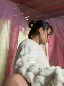 PhanHaa online show from December 17, 2025, 12:10 pm