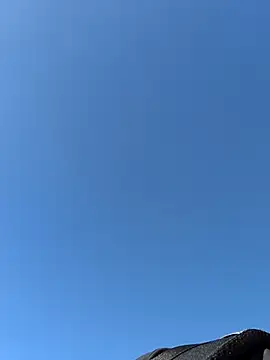 Snapshot of Ole_Plus chatting on February 12, 2026, 11:43 am Ole Plus online show from February 12, 2026, 11:43 am