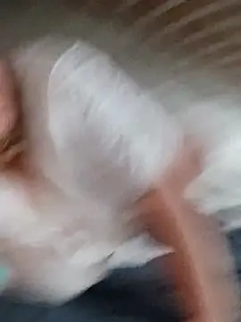 Kiss Eva online show from December 14, 2025, 11:49 am