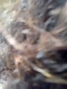 Missparis online show from November 14, 2025, 8:56 pm