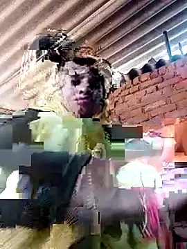 Soniya pandit online show from September 9, 2025, 3:49 am