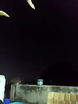 96rose online show from October 16, 2025, 2:14 pm