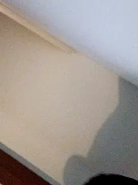 Andrez5041 online show from October 14, 2025, 4:02 am